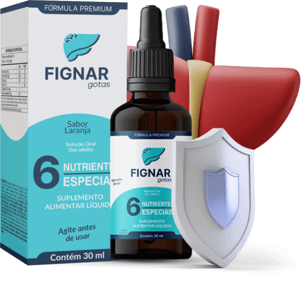 fignar-review